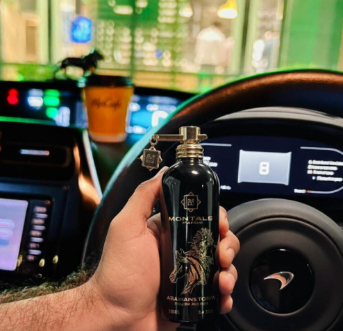 ARABIANS TONKA, SCANDAL MEN, KHAMRAH, ASAD