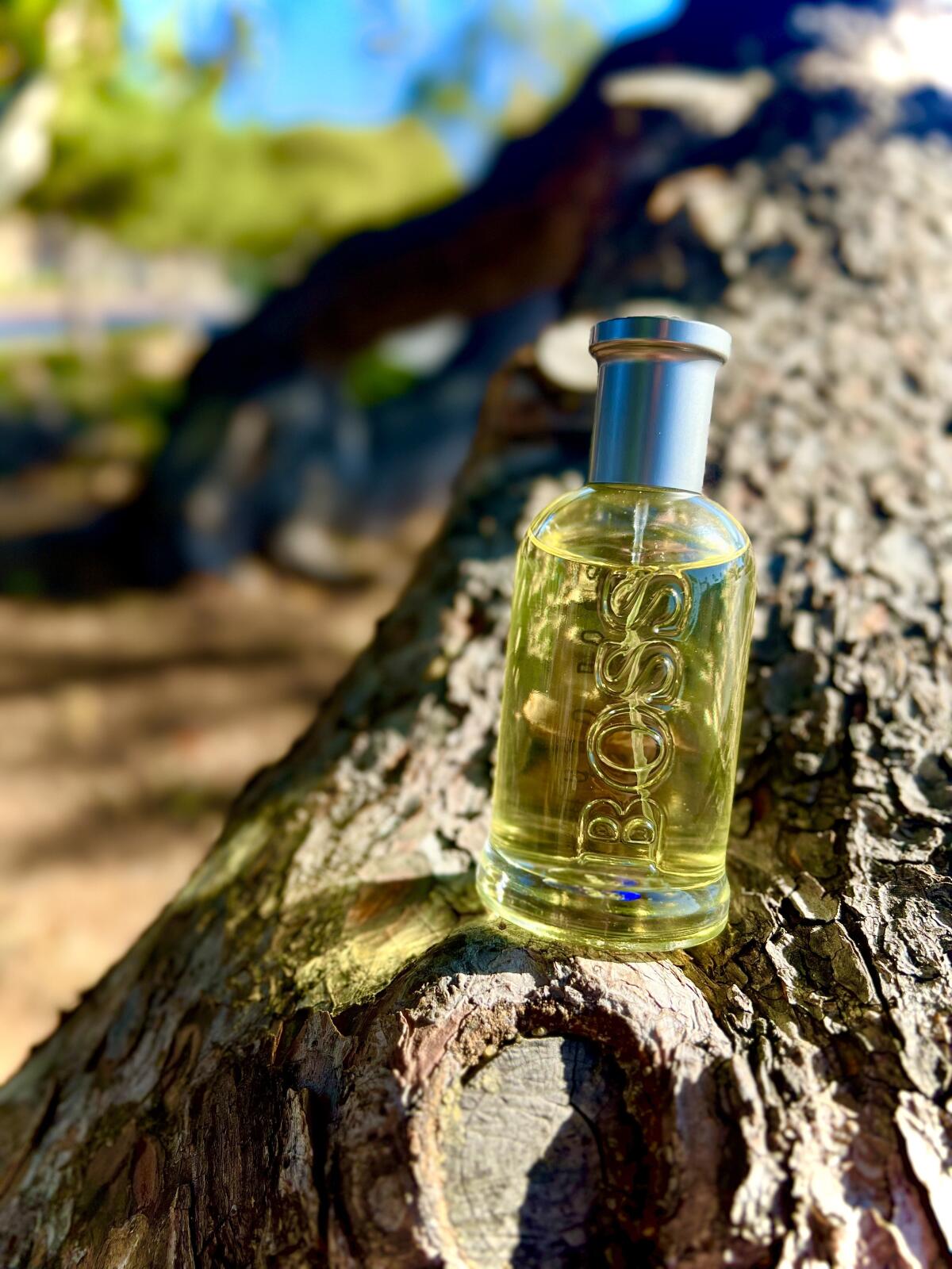 Hugo Boss Unlimited, Night & Bottled