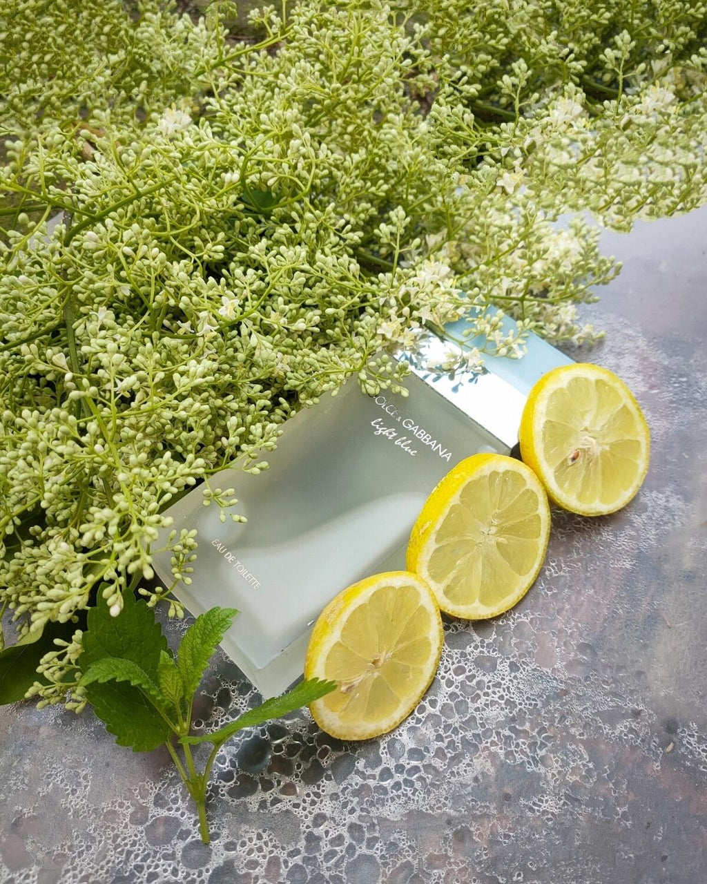 Rabanne Fame Intense, Lancôme La Vie Est Belle & Light Blue D&G