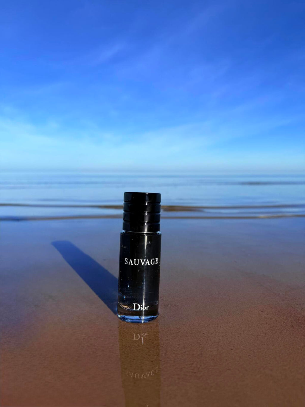 212 VIP Black, Sauvage & Bleu de Chanel