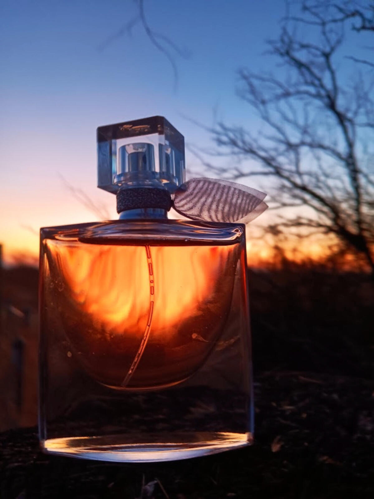 Chanel Coco Mademoiselle L’Eau Privée, Bella Vida & Good Girl Carolina Herrera